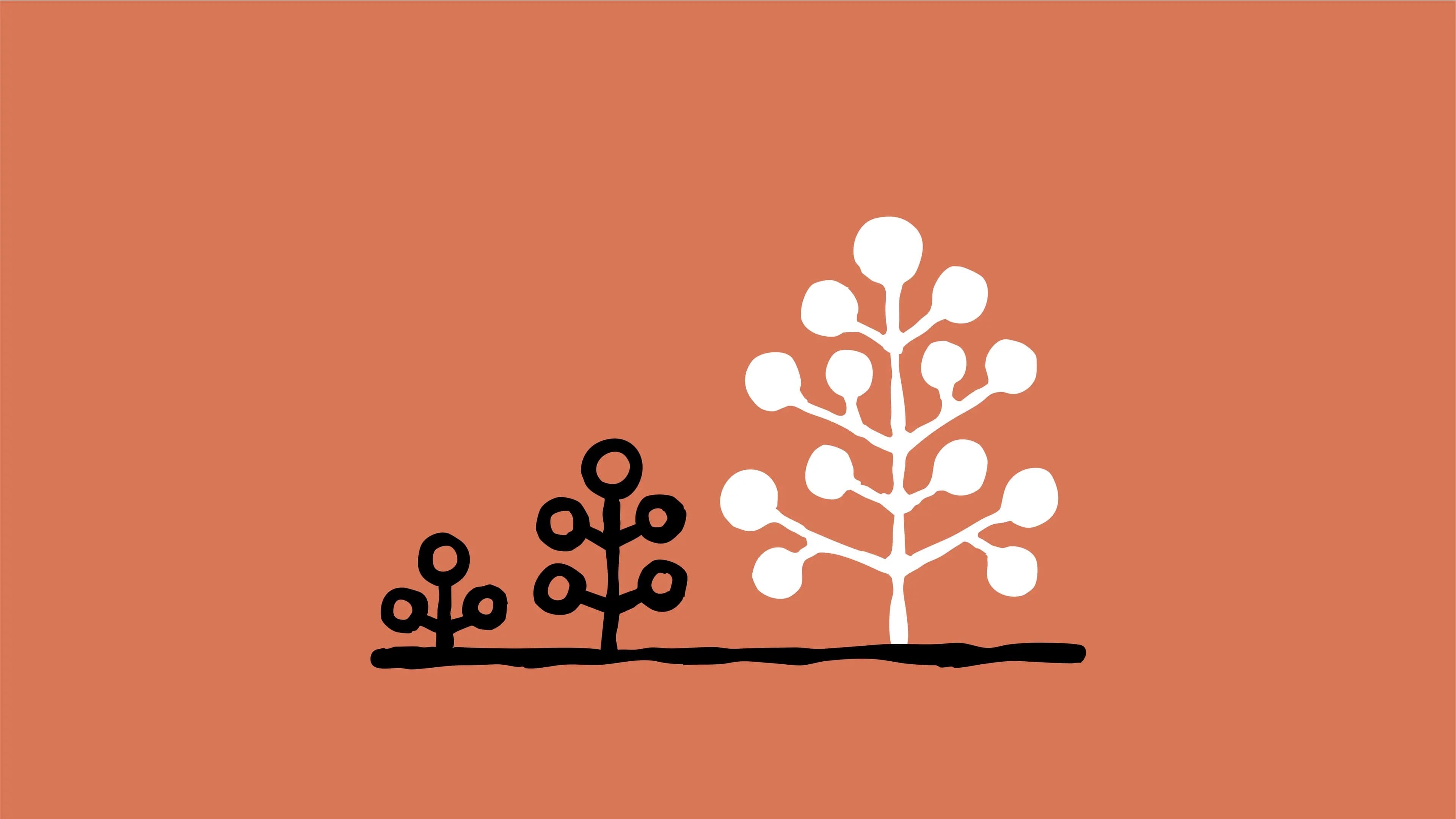 Claude Max $100/$200 Plans: High Value for AI Coding